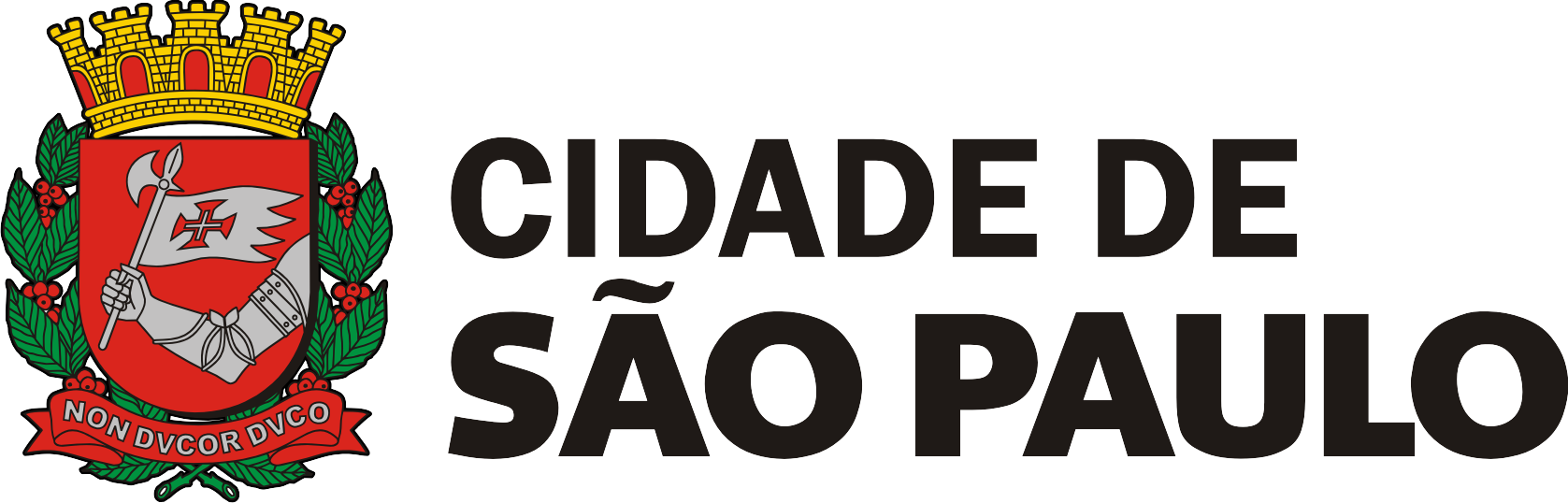 City of São Paulo